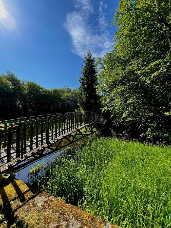Domek W Glebi Lasu Nad Stawem Wierszyno Esterno foto